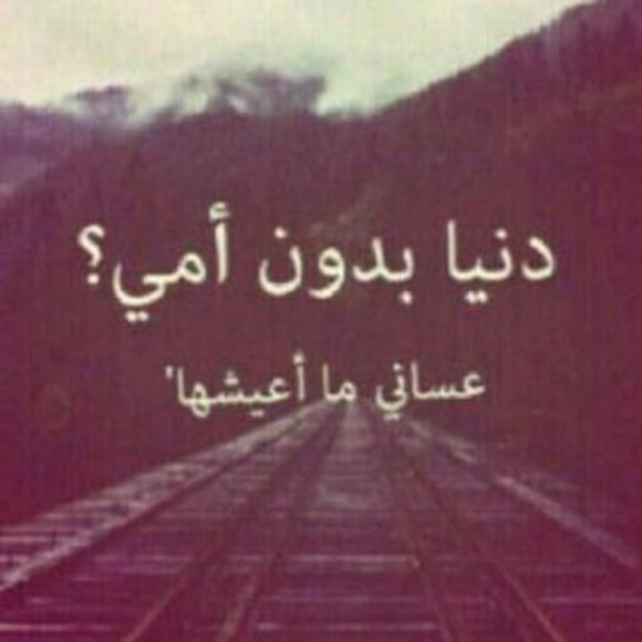 Meet your Posher, Hana - Picture 1 of 1